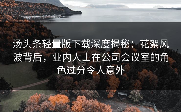 汤头条轻量版下载深度揭秘:花絮风波背后,业内人士在公司会议室的角色过分令人意外 汤头条轻量版下载深度揭秘:花絮风波背后,业内人士在公司会议室的角色过分令人意外